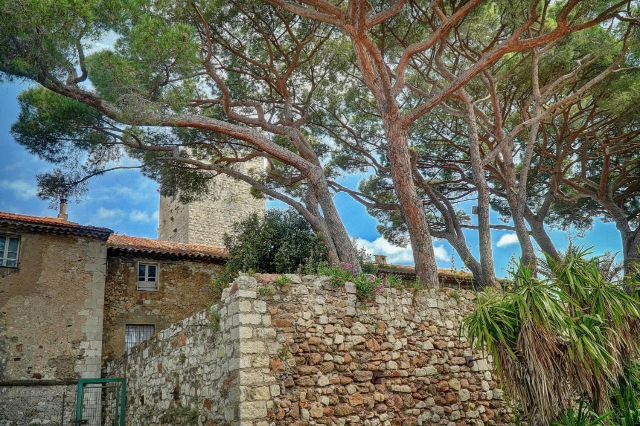Immogroom - 5 Min From Beaches - Suquet - Ac Cannes Exterior foto